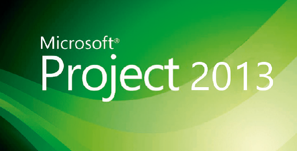  Diplomado en Microsoft Project Professional 